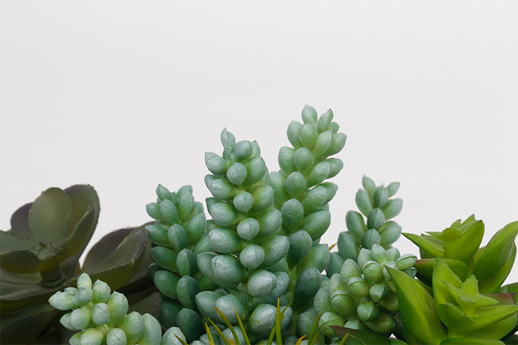 Plantas suculentas artificiales en macetas, arreglo de suculentas bonsái para decoración de hogar y hotel (4).jpg 